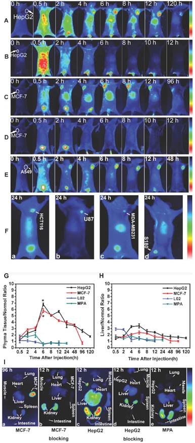 J Cancer Image