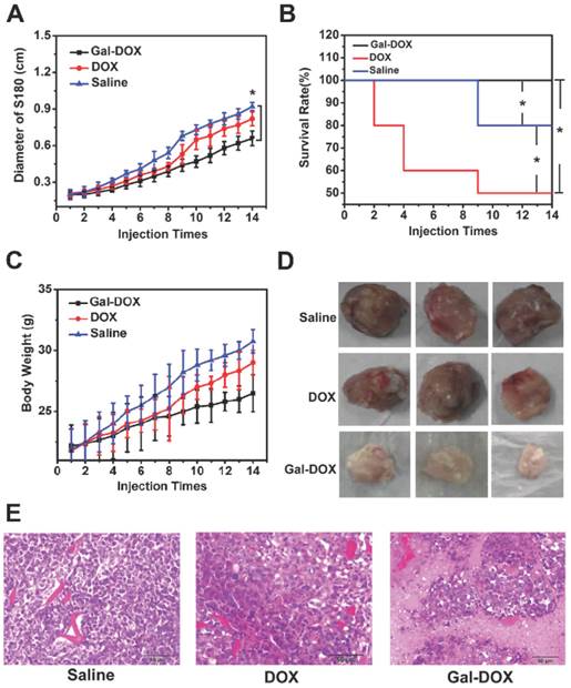 J Cancer Image