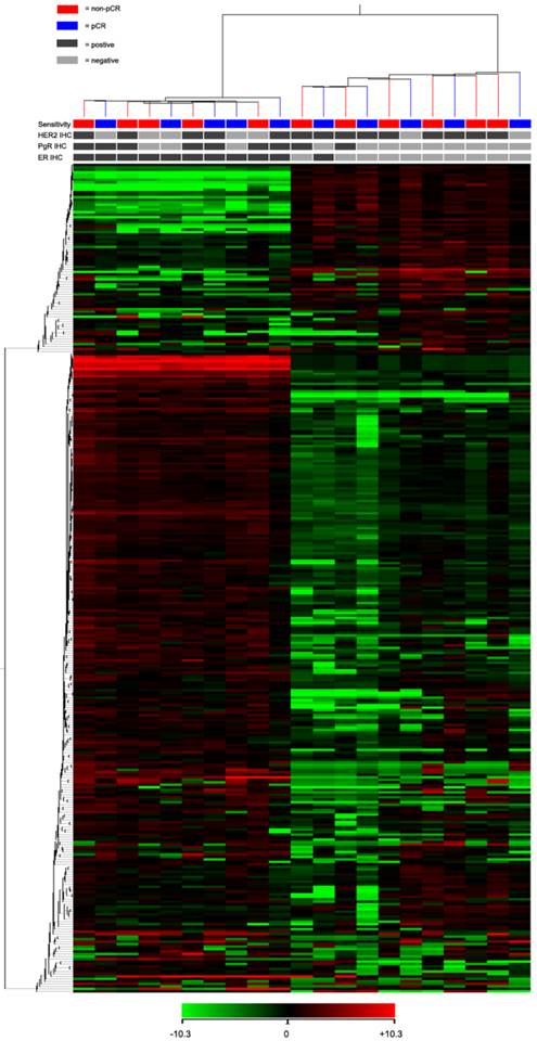 J Cancer Image