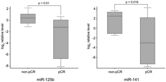 J Cancer Image