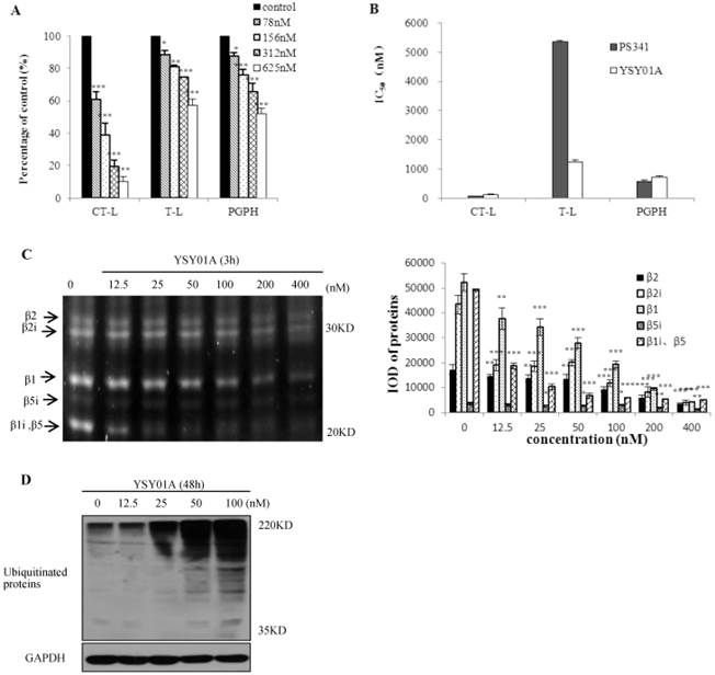 J Cancer Image