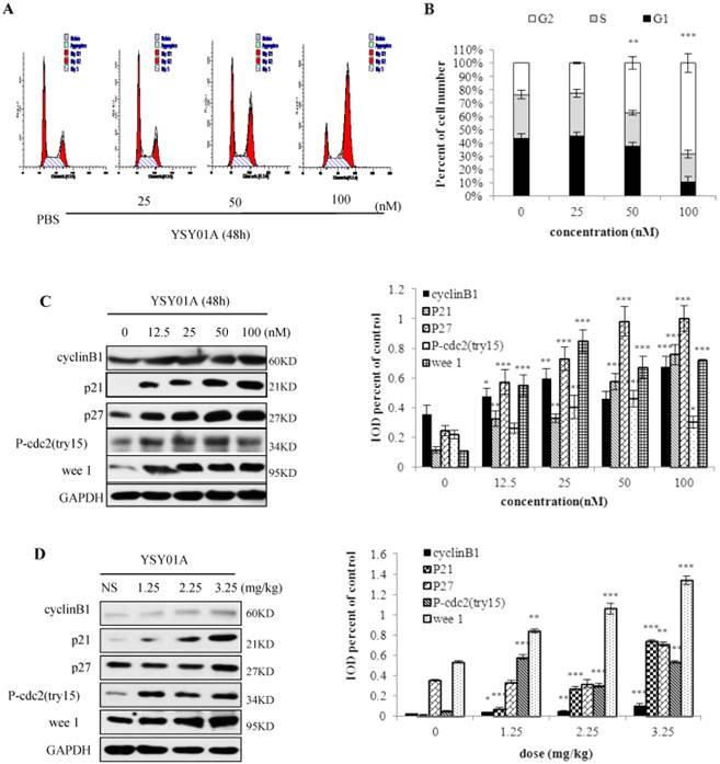 J Cancer Image