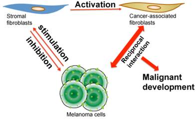 J Cancer Image