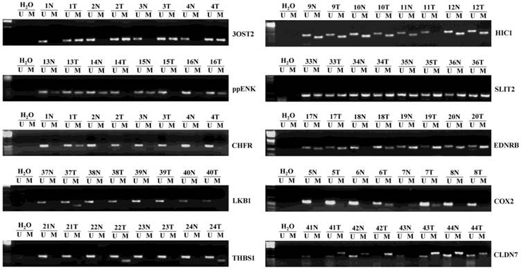 J Cancer Image