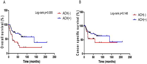 J Cancer Image