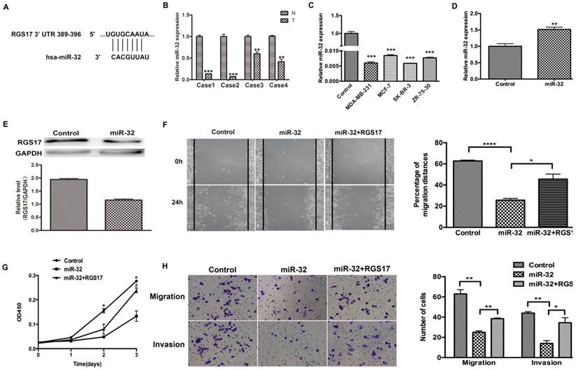 J Cancer Image