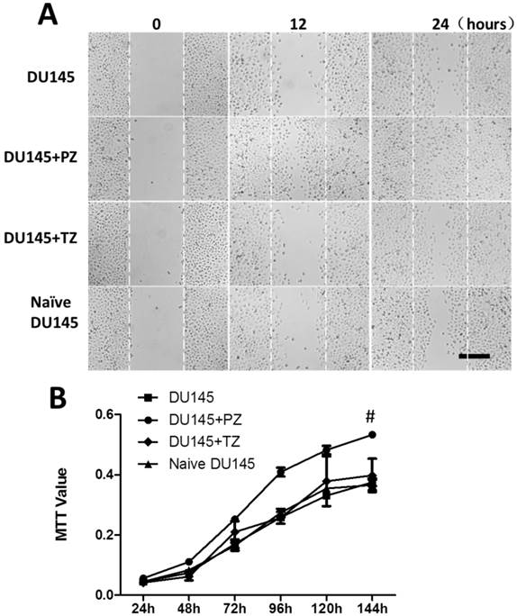 J Cancer Image