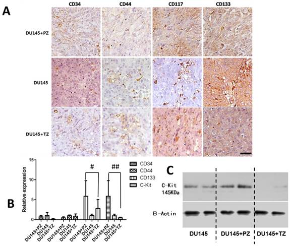 J Cancer Image