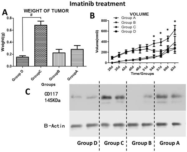 J Cancer Image