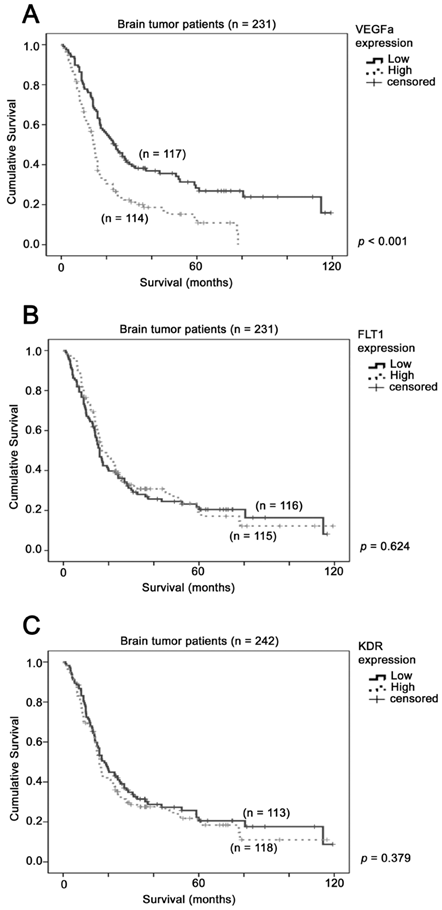 J Cancer Image