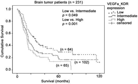 J Cancer Image