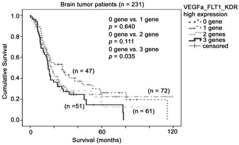 J Cancer Image