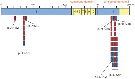 J Cancer Image