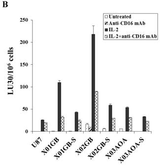 J Cancer Image