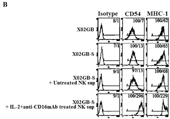 J Cancer Image