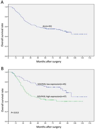 J Cancer Image