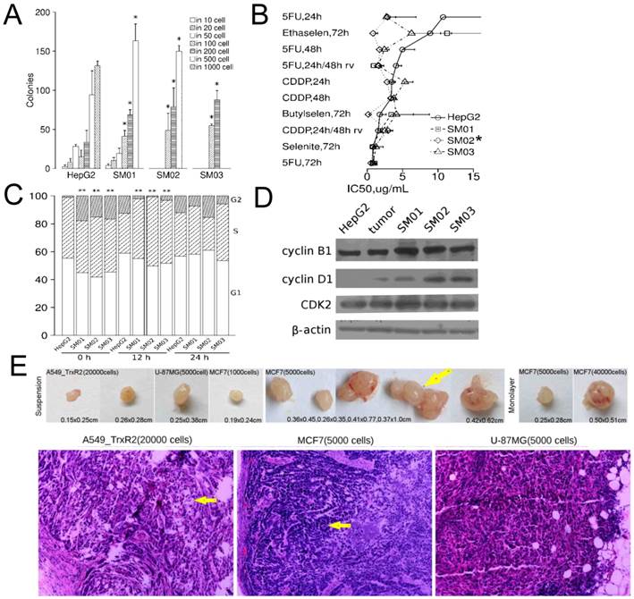 J Cancer Image