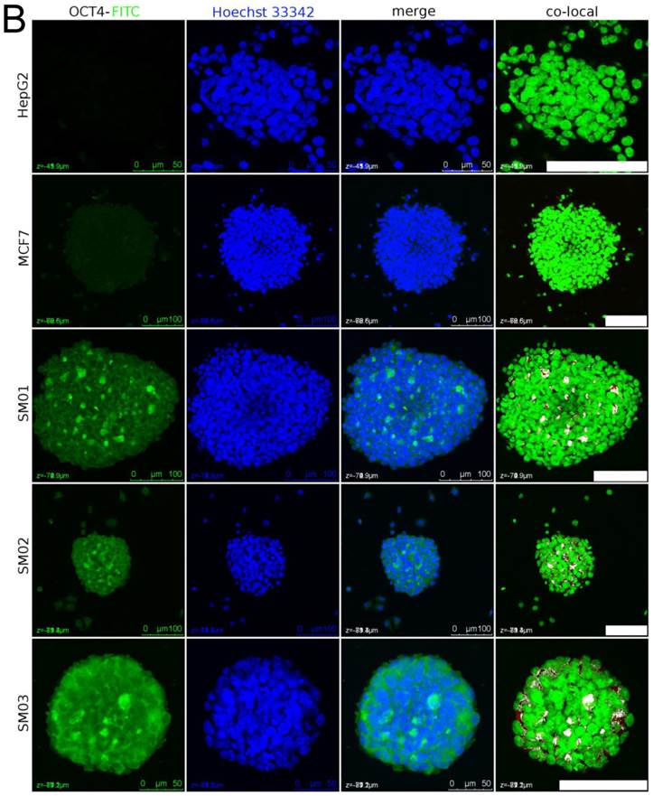 J Cancer Image