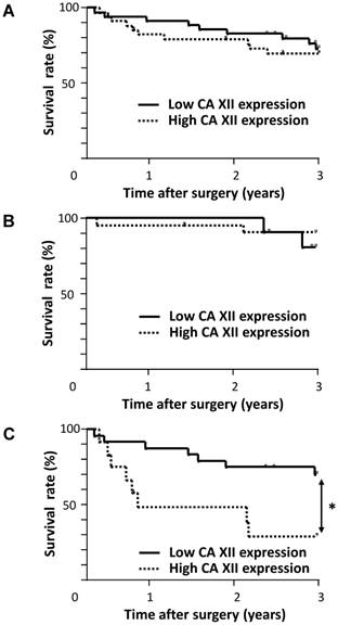 J Cancer Image