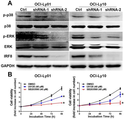 J Cancer Image