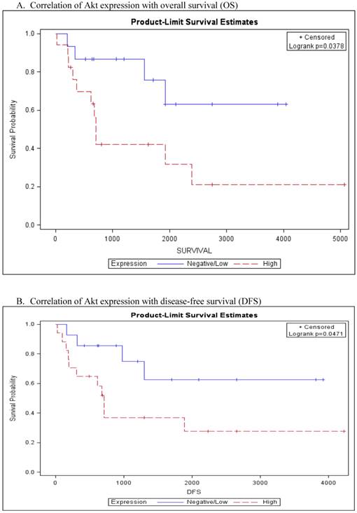 J Cancer Image