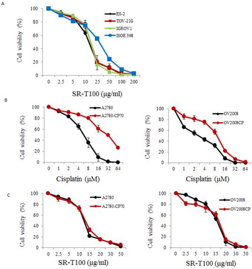 J Cancer Image