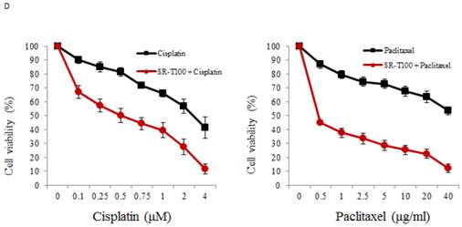 J Cancer Image