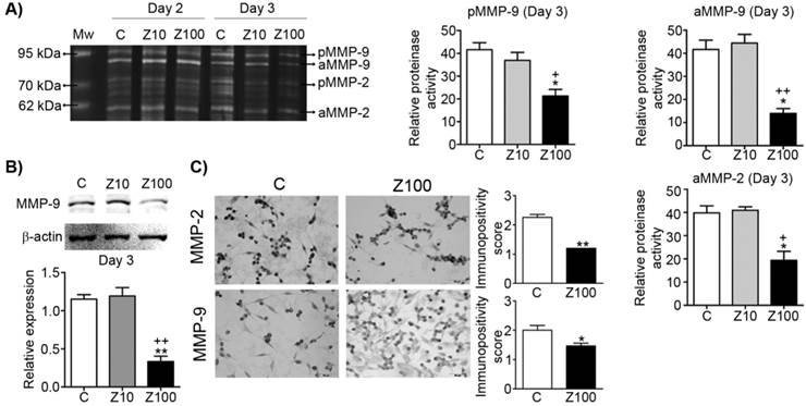 J Cancer Image