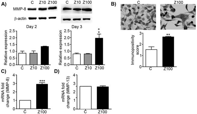 J Cancer Image