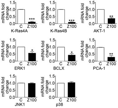 J Cancer Image