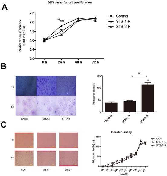 J Cancer Image