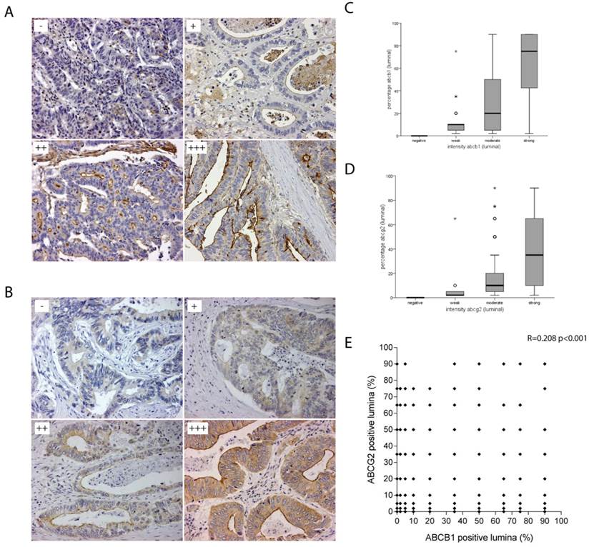 J Cancer Image