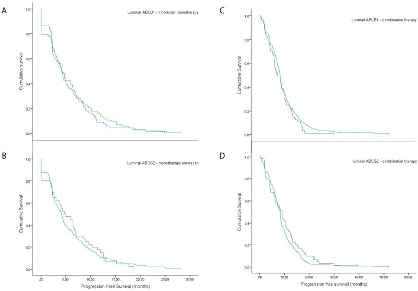 J Cancer Image