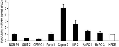 J Cancer Image