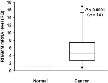 J Cancer Image