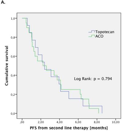 J Cancer Image