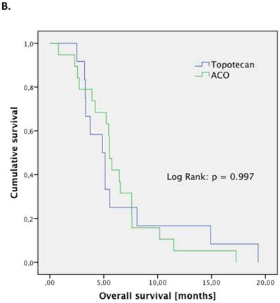 J Cancer Image