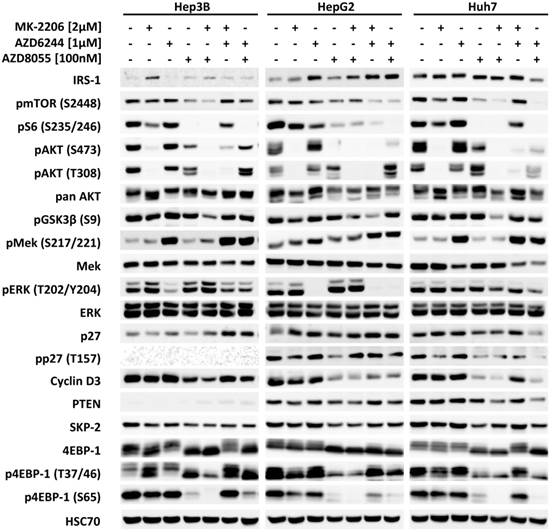 J Cancer Image