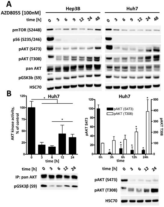 J Cancer Image