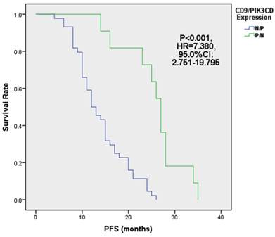 J Cancer Image