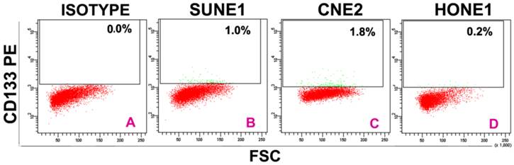 J Cancer Image