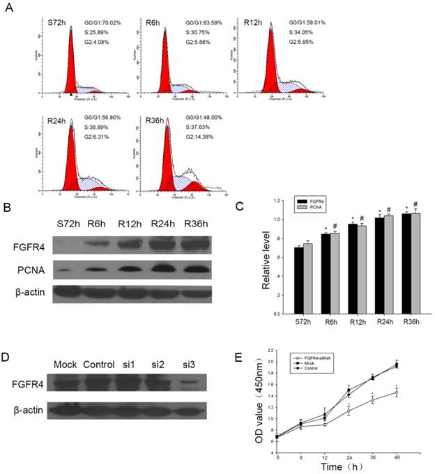 J Cancer Image