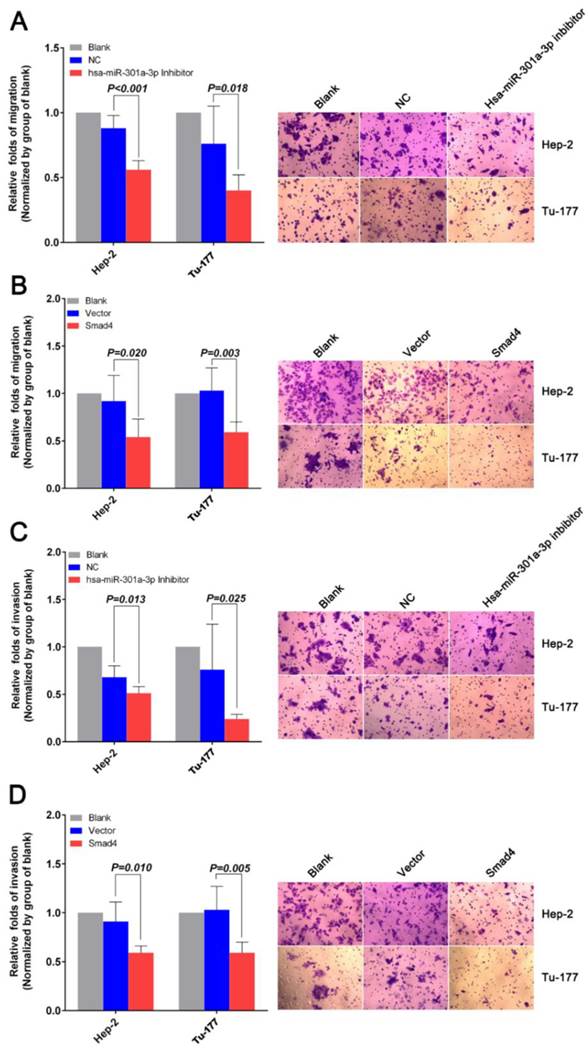 J Cancer Image