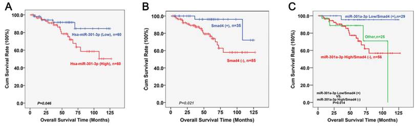 J Cancer Image