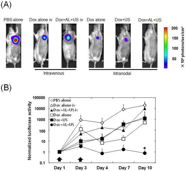 J Cancer Image