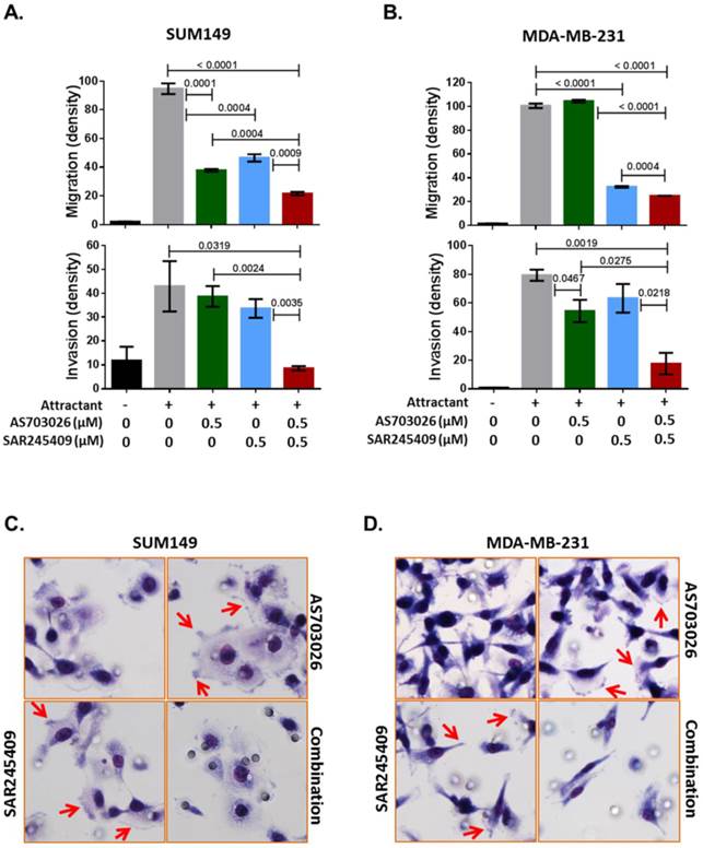 J Cancer Image