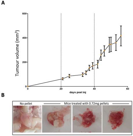 J Cancer Image