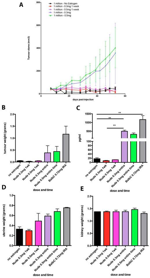 J Cancer Image