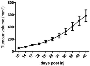 J Cancer Image