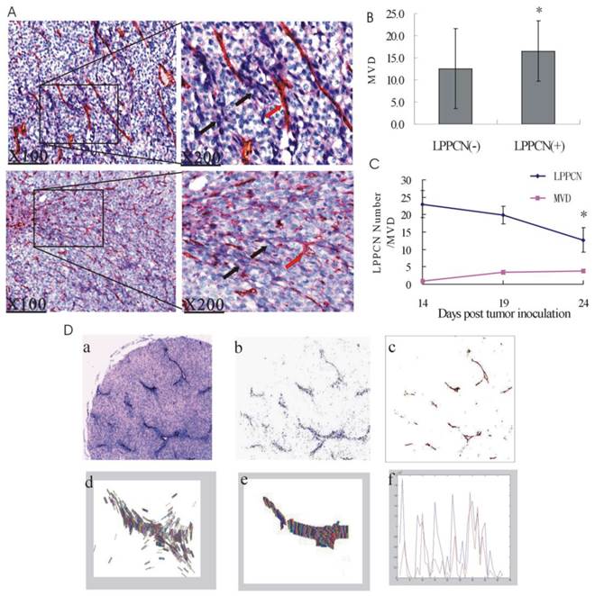 J Cancer Image